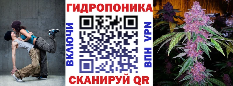 Купить закладки Высоцк Бошки марихуана White Widow